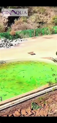 We are a professional source manufacturer specializing in Recirculating Aquaculture System (RAS) equipment. We not only supply complete and mature RAS solutions, but also support partners in building local demonstration farms. If you are interested in our equipment or would like to become our distributor in your region, please feel free to contact us. We look forward to long-term cooperation. نحن مصنع متخصص ومصدر مباشر لمعدات أنظمة الاستزراع المائي ذات التدوير المغلق (RAS). لا نقدم المعدات فقط، 