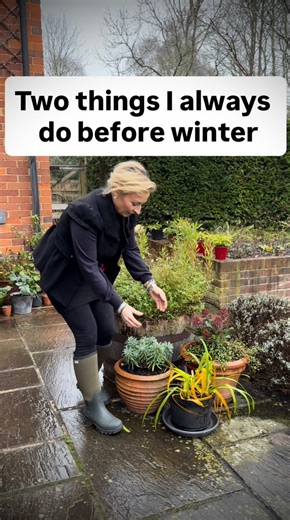 ❗️ It’s important ‼️ To protect and successfully overwinter agapanthus and other tender plants I always lift it from standing water. When it gets really cold, I wrap the pot in some bubble wrap. It might help your tender plants if you stored them as a group or place them next to our household where the temperature is always slightly higher. Lots of great tips are in my third book, The Money-Saving gardener Containers. Link to my book is in comments below 👇 🫶🧚🏻💚 | anya_thegarden_fairy
