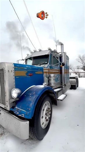 𝐆𝐮𝐞𝐬𝐬 𝐭𝐡𝐞 𝐌𝐨𝐭𝐨𝐫? #ytshorts #trending #peterbilt #coldstart #truck #bigrig #country