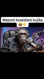 Chemsha bongo ya leo😂😂👇 #Kitendawili #MaswaliYaAkili #UcheshiWaMjini #ChimpanzeeWaMjini #SwaliLaLeo | Damian Zakayo