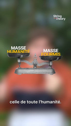 Les fourmis dominent (vraiment) le monde 🐜🌍 20 millions de milliards d’individus, des super-colonies qui traversent l’Europe, des sociétés ultra-organisées… et une puissance écologique qui dépasse celle des humains. Envie de comprendre comment ces mini créatures sont devenues les véritables reines de la planète ? 🔥 Regarde la vidéo avec @seb_insectes 👀🎥 #fourmis #insectes #nature #biodiversité #écologie #stringtheory | String Theory Fr