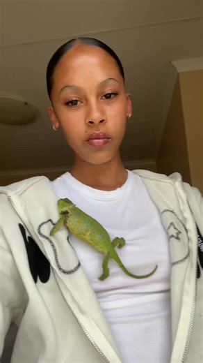 𝓣𝓪𝔂𝓵𝓪𝓻🦕 (@https_taylar)’s videos with original sound - ☆figo.