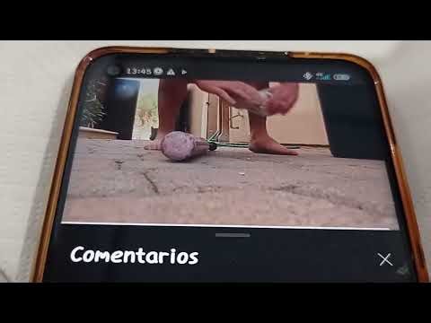 Singing Pizza Elmo Destruction (Alternate Ending)