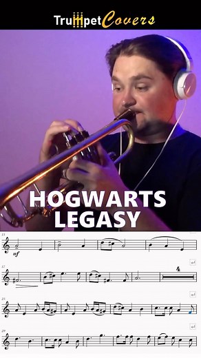 2.2K views · 29 reactions | Extraordinary cover from @trumpet.covers...