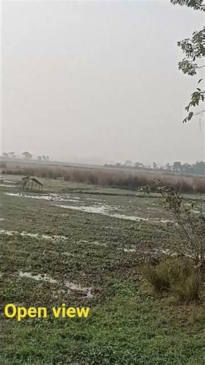 Open paddy field view #nature