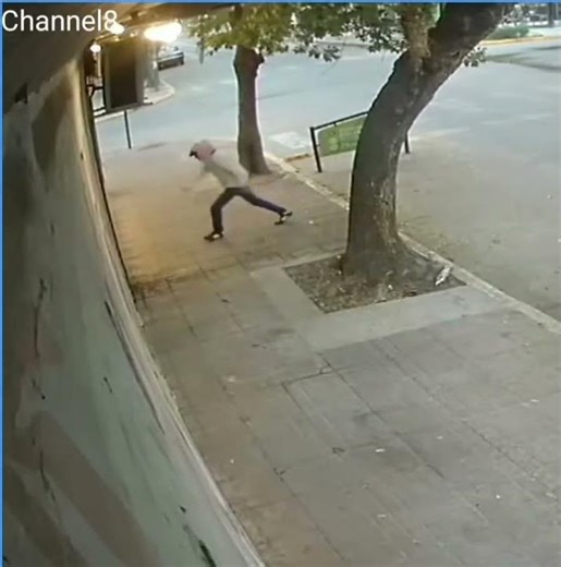 Rompió el vidrio de un comercio céntrico, robó y terminó detenido gracias a las cámaras