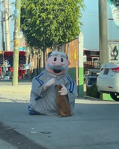 59K views · 724 reactions | Dr. Simi mascot plays with stray dog! | Animal Lovers | Facebook