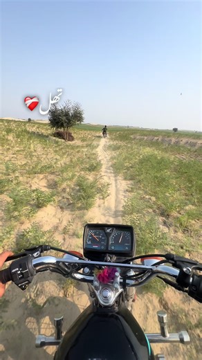 Exploring Baloch Identity Through Art and Emotion