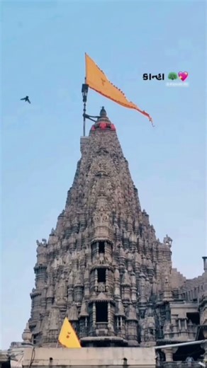 Jay Dwarkadhish 💯 #jaydwarkadhish #kanha #vibes #dwarika #god #blessings #blessed #dwarkadhish #song