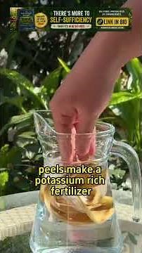 4 Genius DIY Organic Fertilizers That Will Make Your Plants Explode with Growth!