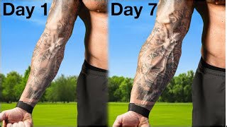 Rice bucket training for a full week tested