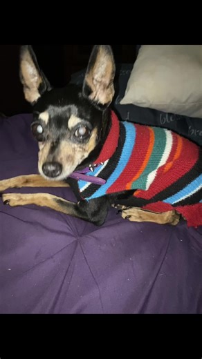 Sweater weather! #itzy #cold #sweater #weather #snowday