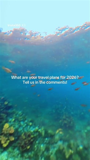 2026 might feel far away, but the best trips start with a plan. ✨