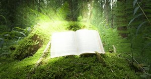 Open book resting on a moss-covered log in a lush green forest, illuminated by sunlight. Learning concept.