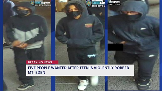 5 people on the run after teen violently robbed in Mt. Eden