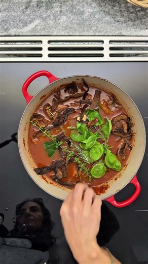 Best Dutch oven TikTok shop link https://www.tiktok.com/t/ZPHE2yhvq454n-X9CHL/