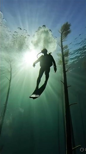 world secrets - river under sea #trending#youtubeshorts #viral #reels #shorts #trendingshorts #facts