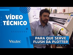 What is the purpose of the Flush function on a printing plotter?