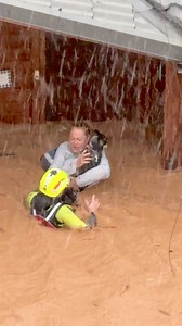 666K views · 10K reactions | A woman, along with her dog and cats,...