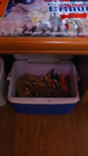 Winter is coming! | Samuel Morris