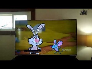 PBS Kids - Nature Cat's Nature Movie Special Extraordinaire Promo (2024)
