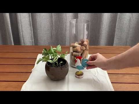 CAM Do | Cubist Still Lifes | 4/8/20