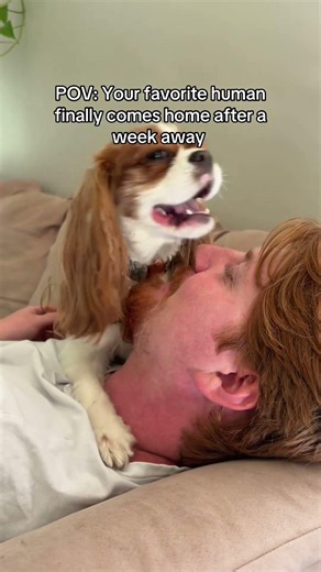 How to explain this feeling to people who don’t have a dog