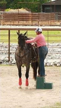 City-slicker mounting and dismounting 👌 #ApplyTheMethod