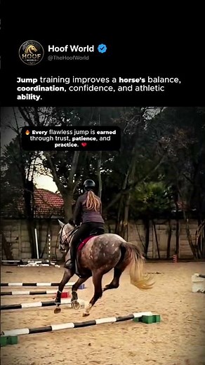 How Do Horses Learn to Jump So Perfectly? 🐴 #horse #Shorts