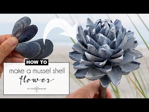 how to make seashell flowers with mussel shells