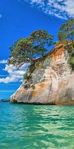 Cathedral Cove-New Zealand. | World Landscapes
