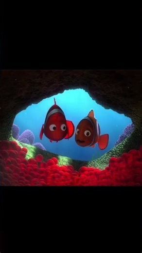 Nemo 🐠 #nemo