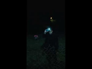 Htiekal ft. Git - Birds (Official Video)