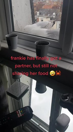 Victoria Hall (@victoriahall1995)’s videos with original sound - Victoria Hall