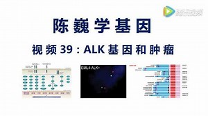 【陈巍学基因】视频39：ALK基因与肿瘤