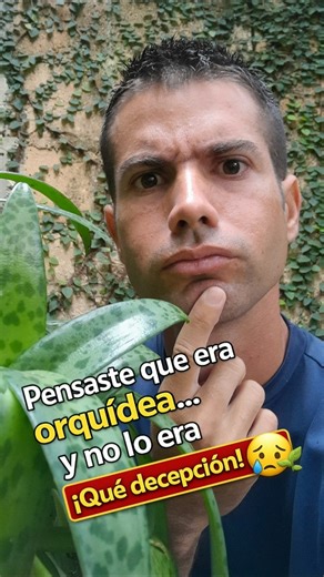 Evita decepciones con tus orquídeas | Avance Maravillas de la Creación