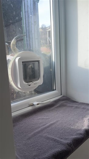 The Cookie Secret: What’s in the Jar?