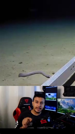 Exploring Hagfish: Unraveling the Mysteries of Science