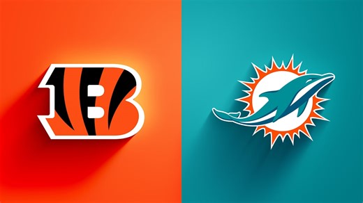 Bengals vs. Dolphins highlights | Week 16