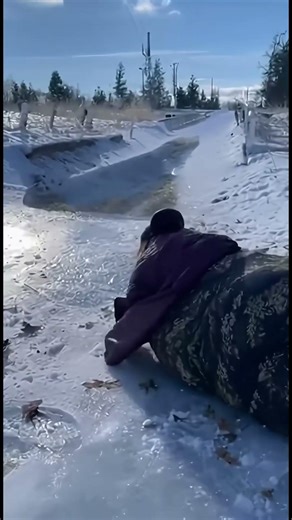 The chicken won this round 😂 #shorts #funny #fails