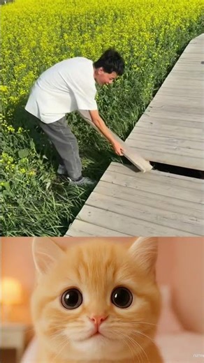 Epic Human Fails: Hilarious Moments That Will Make You Laugh Out Loud!#108 #108