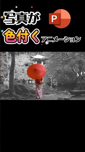 白黒写真が色づくアニメーションの作り方 #powerpoint #パワポ #パワーポイント #プレゼンテーション #写真
