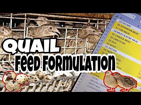 Quails Feed Formulation || Feed Formulation For Quail Farming