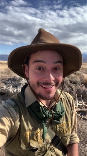 New Dinosaurs in 2025: 3 Discoveries Rewriting Prehistoric Life #dinosaurs #animals