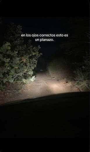 Los Mejores Planes para la Princesa 👸🏼