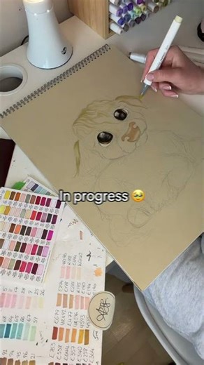 From Blank Page to Baby Highland Cow 🐄✨ First Layer Drawing Timelapse