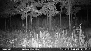 Moultrie Products on Reels