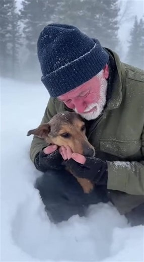 "I’m right here… you’re not dying alone." Thirty-two words: It was the trembling promise an old veteran whispered into a starving dog’s ear in the middle of a brutal Minnesota snowstorm—a sentence born from grief, guilt, and a past he never healed from. He didn’t shout it. He breathed it out. Soft. Broken. Like a man talking to someone he had lost before. What happened next made bystanders freeze. A dog too weak to stand… lifted its head… and laid it on his knee. As if choosing him. As if recogn