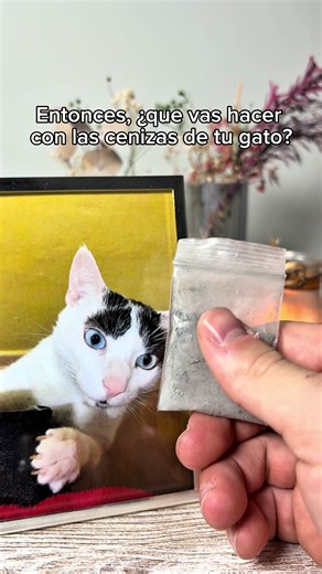 Nuestro collar es la mejor manera de recordar a tu mascota ❤️🕊️ #collar #teextraño #cenizas #mascotas #jesus . . . . Este collar conmemorativo para cenizas humanas en forma de cruz es una joya memorial de cremación para honrar ante Dios y Jesús el recuerdo de un ser querido o de una mascota como tu gato. Su colgante tipo urna permite guardar una pequeña cantidad de ceniza humana o recuerdo simbólico, convirtiéndose en joyería conmemorativa cristiana, símbolo de amor eterno y fe en la vida etern