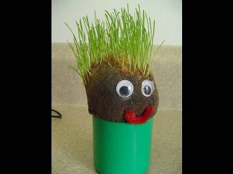 How to make your own "Chia Pet" Grass Head
